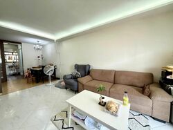 Blk 91 Toa Payoh Palm Spring (Toa Payoh), HDB 3 Rooms #503996031